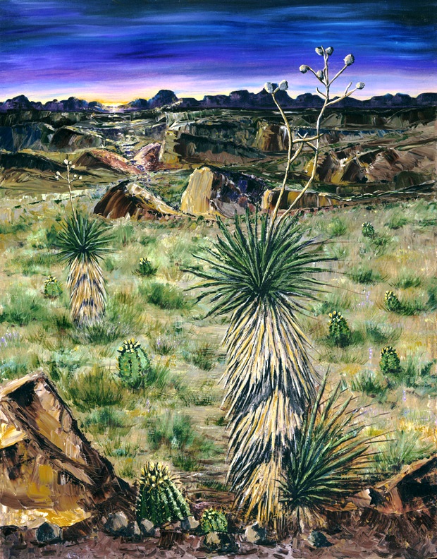 Chihuahuan Desert Dreams by Virginia Maria
                        Romero